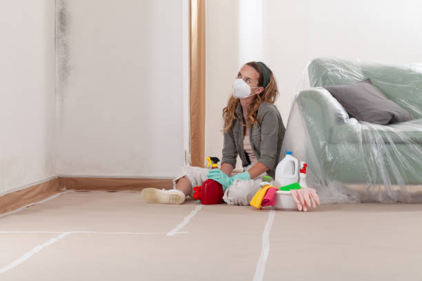 Reliable Mold Testing contractor in Allenhurst, NJ by WQB Mold Removal